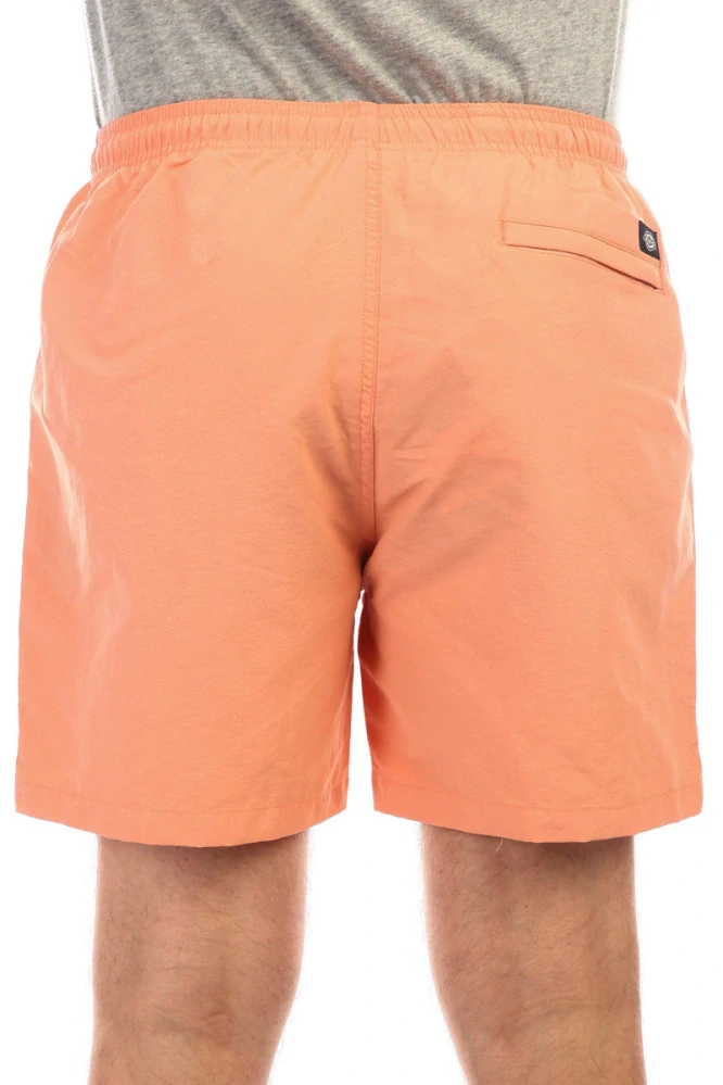 Pánské koupací šortky Dickies Rifton Flamingo
