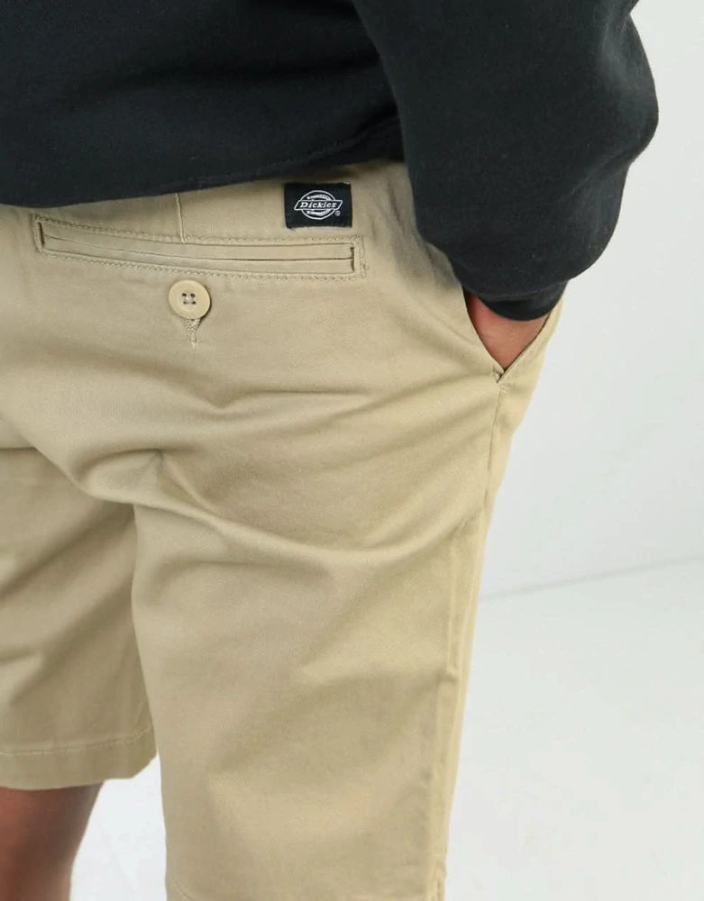 Dickies kraťasy Palm Springs Short