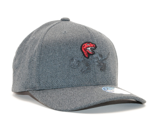 Kšiltovka Mitchell & Ness Toronto Raptors Decon Grey Snapback