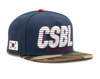Kšiltovka Cayler & Sons WCWW Cap Navy/Woodland Camo