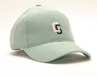 Kšiltovka Cayler & Sons First Team Curved Cap Pale Mint/Black