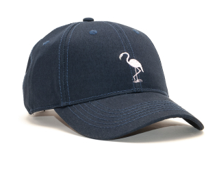 Kšiltovka Cayler & Sons WL Camingo Curved Cap Navy/MC