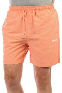Pánské koupací šortky Dickies Rifton Flamingo