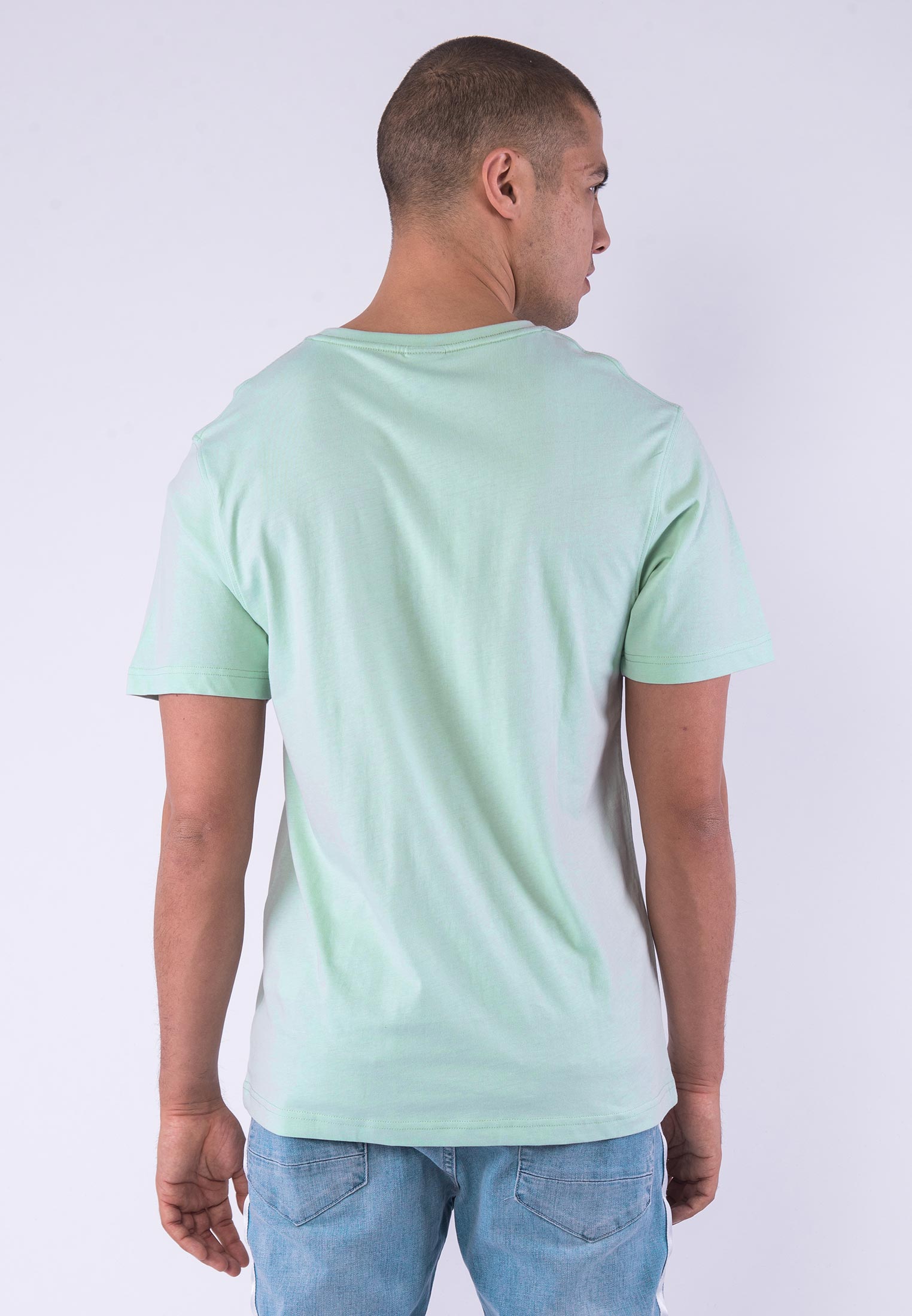 Triko Cayler & Sons PA Small Icon Tee Mint/White
