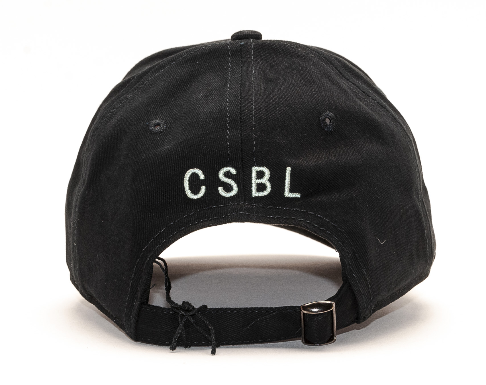 Kšiltovka Cayler & Sons First Team Curved Cap Black/Pale Mint
