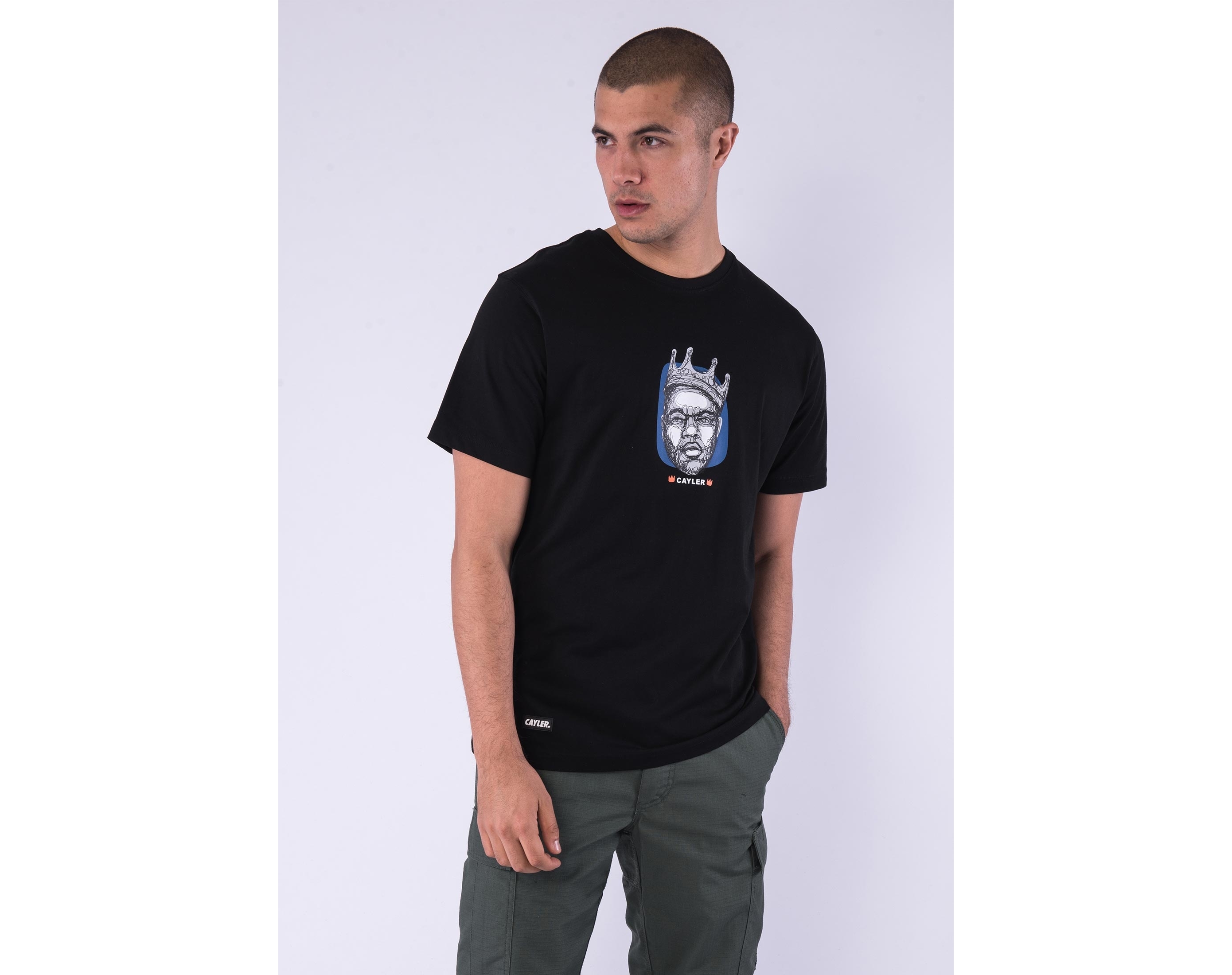 Triko Cayler & Sons WL A Dream Tour Tee Black/MC