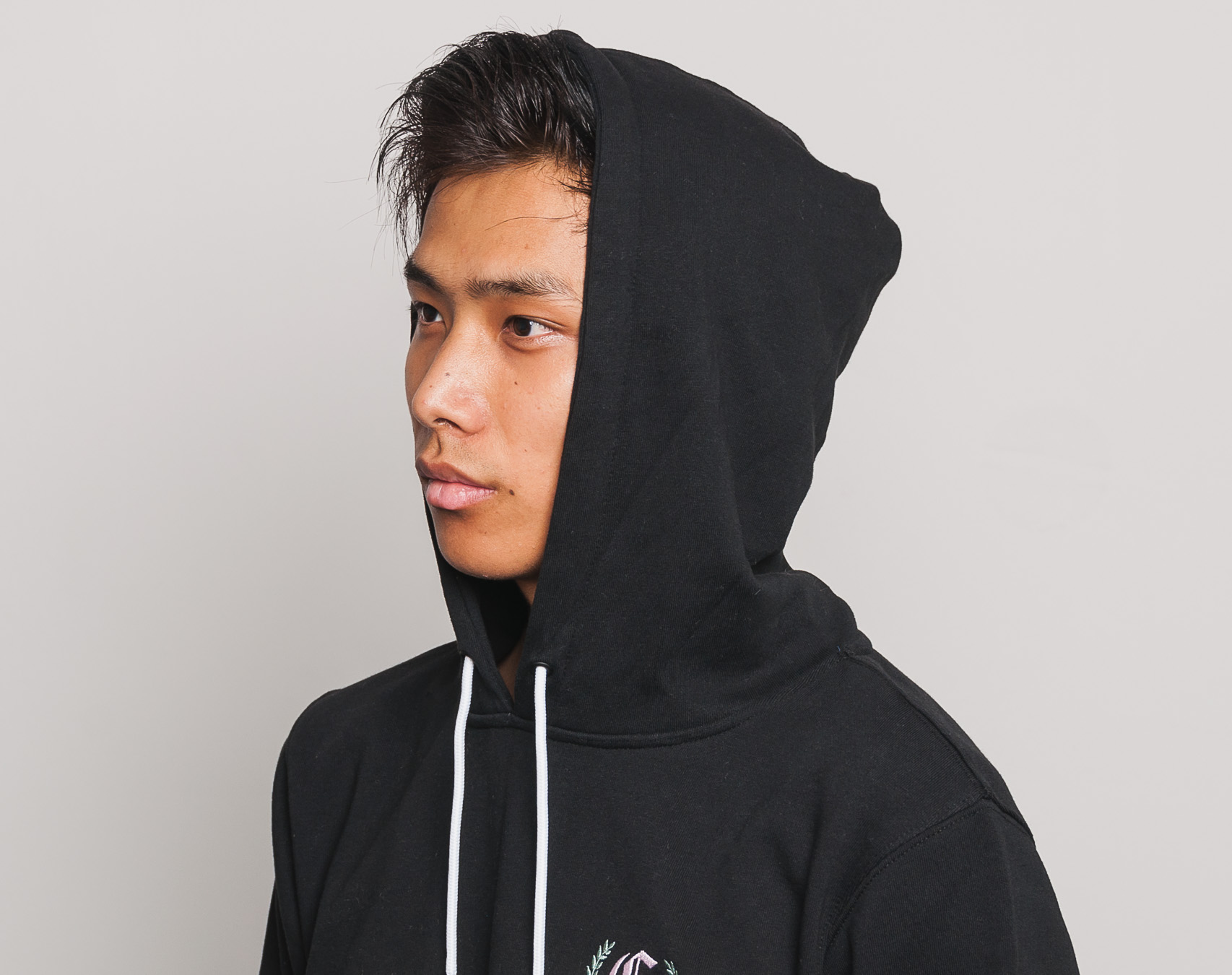 Mikina S Kapucí Cayler & Sons Black Label AOT Hoody Black/Multicolor