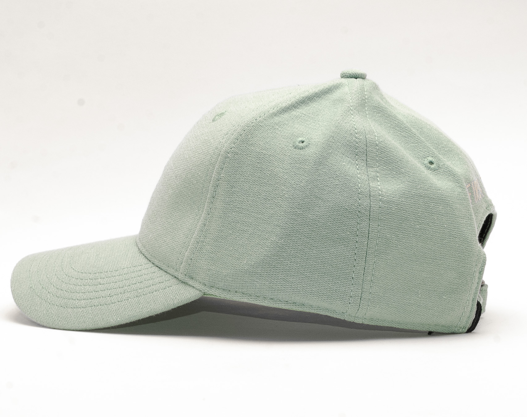 Kšiltovka Cayler & Sons First Team Curved Cap Pale Mint/Black